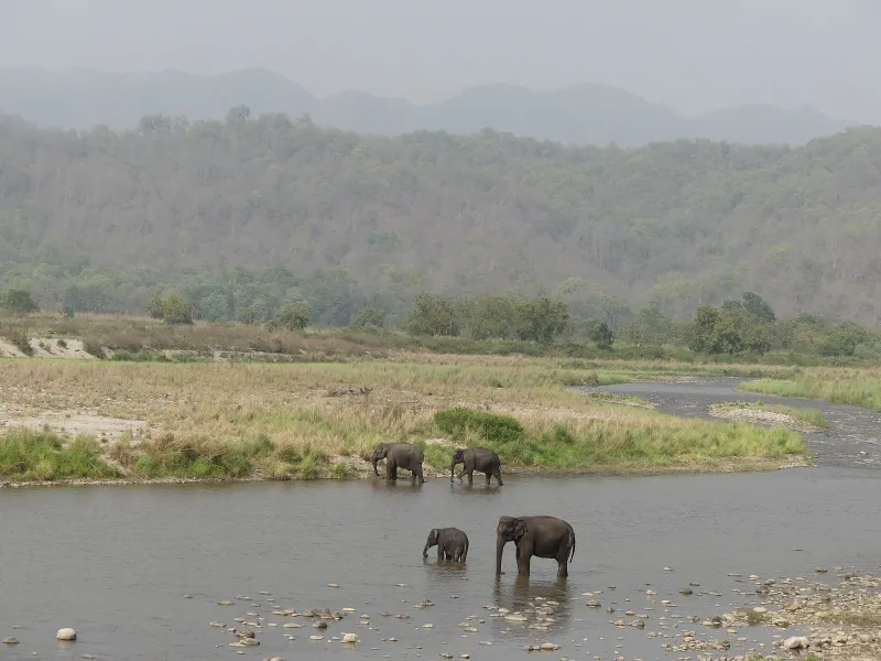 School, College & Corporate Groups – Jim Corbett tour package