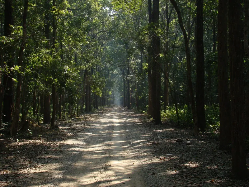 School, College & Corporate Groups – Jim Corbett tour package