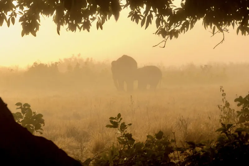 Corbett Weekend Safari – Jim Corbett tour package