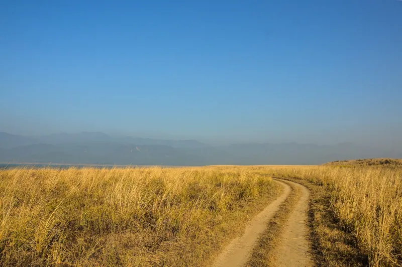 Dhikala Tiger Trail – Jim Corbett tour package