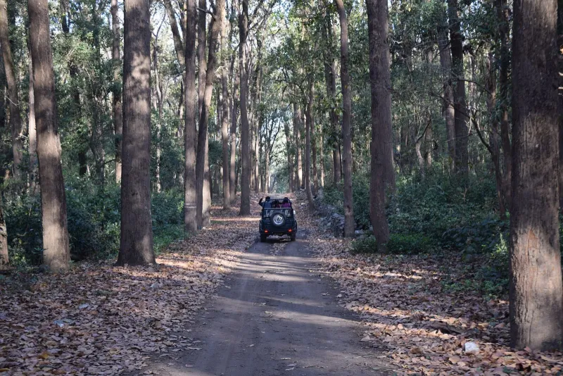Jhirna Monsoon Getaway – Jim Corbett tour package