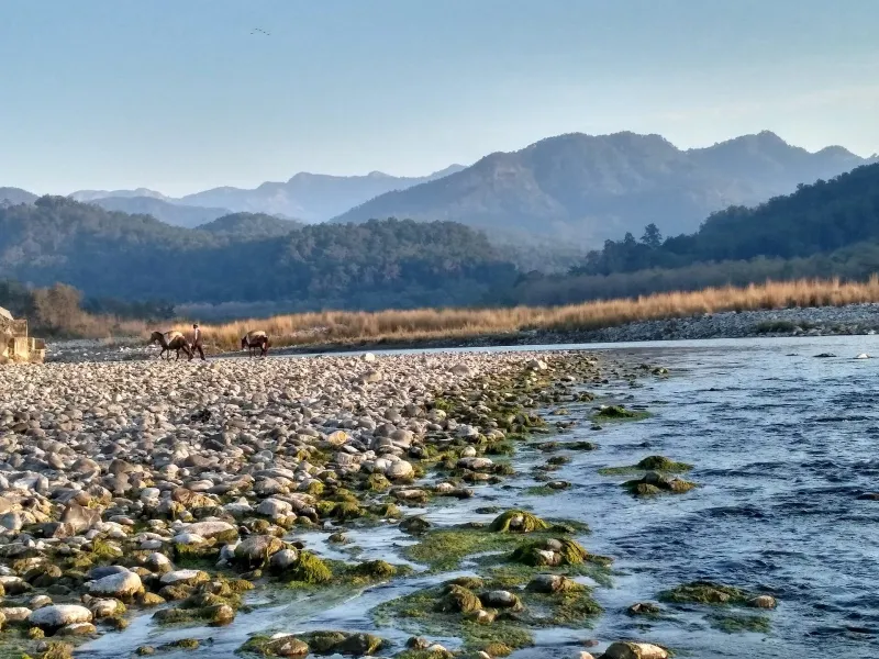 Kosi Riverside Retreat, Dhikuli, Ramnagar