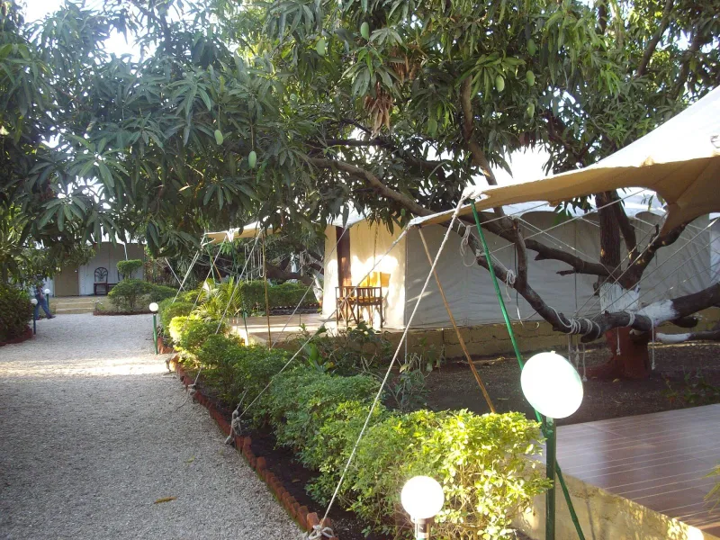 Tiger Trail Tented Camp, Dhela Road