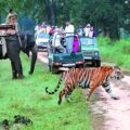 Pack 15 Things to Wear for Your Corbett National Park Trip